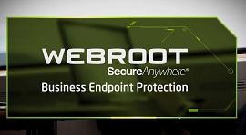 video endpoint protection enterprise
